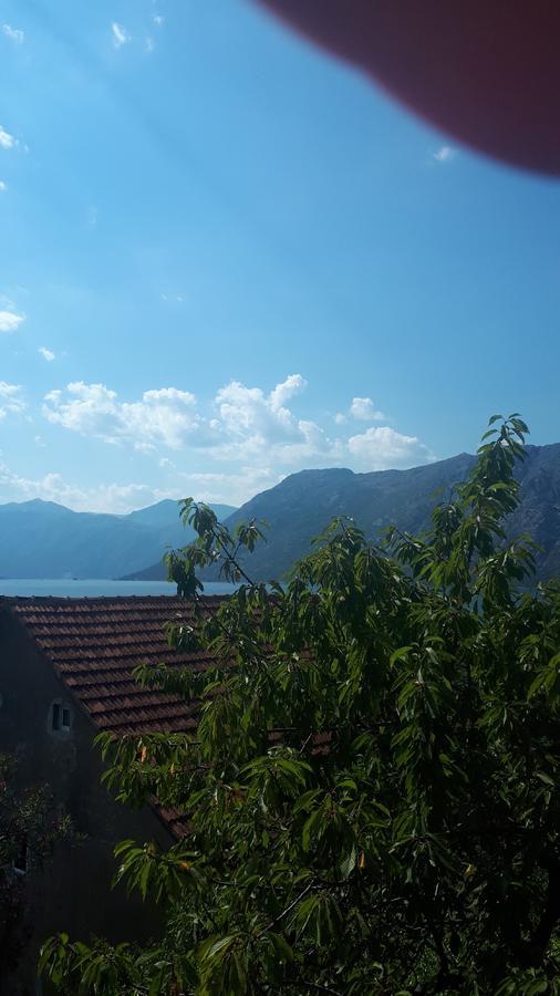 Apartments Katarina Kotor Eksteriør bilde